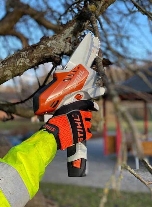 En person med STIHL-handske beskär en trädgren med en orange STIHL GTA 26 batteridriven grensåg i trädgården.