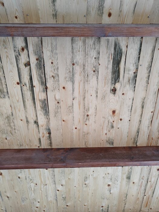 Undersida av råspont på carport med påväxt på brädorna.