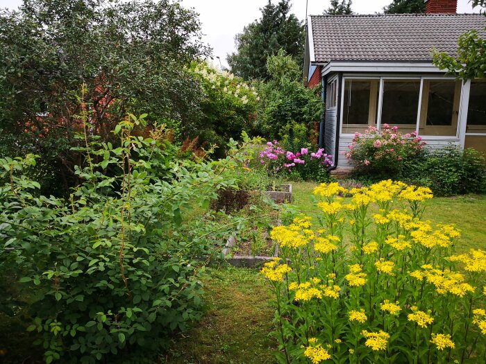 Trädgård med färgglada blommor och buskar framför ett hus med altan, omgiven av gröna träd och gräsmatta.