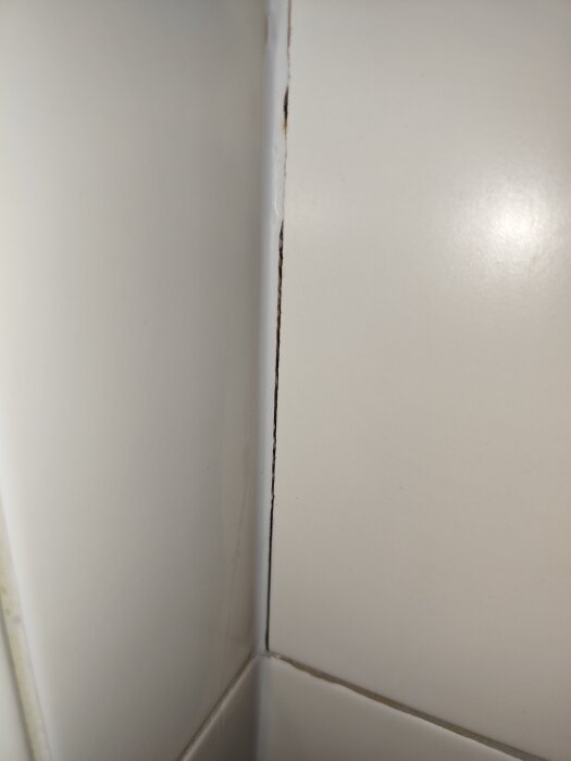 Spricka och missfärgning i duschkakel, möjlig mögel/sot bakom silikonfog.