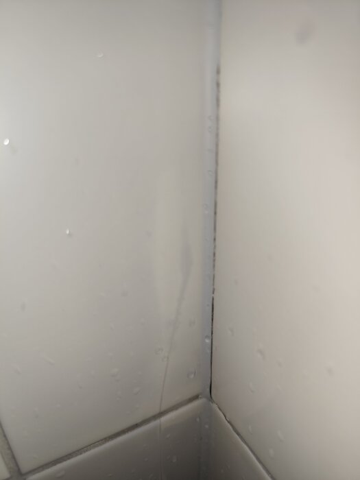 Spruckna och missfärgade kakelplattor i duschhörn med möjliga mögelfläckar bakom silikonfog.
