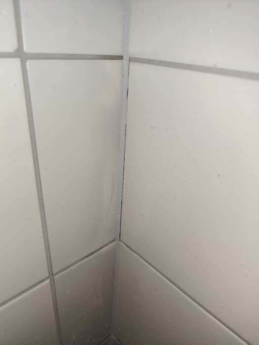 Spruckna och missfärgade kakelplattor i duschhörn, med synlig mögel/sot bakom silikonfog; indikerar potentiell vattenskada.