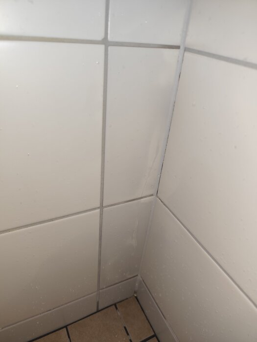 Vitt kakel i duschhörn, två plattor med spricka och missfärgning i nedre högra hörnet, antydan till mögel bakom silikonfog.