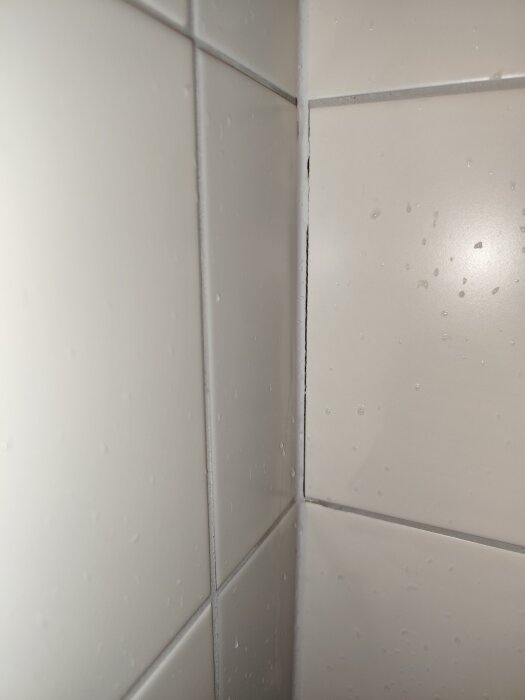 Spruckna kakelplattor med missfärgning och potentiellt mögel mellan fogarna i duschhörn.