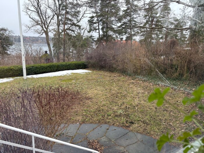 En gräsmatta med jordiga och torra fläckar, omgiven av buskar och träd. Lite snö ligger kvar i kanten av en häck.