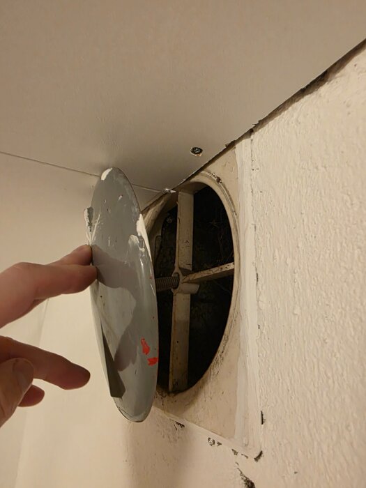 20260227_171951.jpg