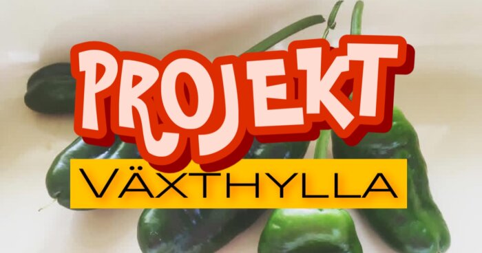 Texten "PROJEKT VÄXTHYLLA" över en bild av gröna paprikor.