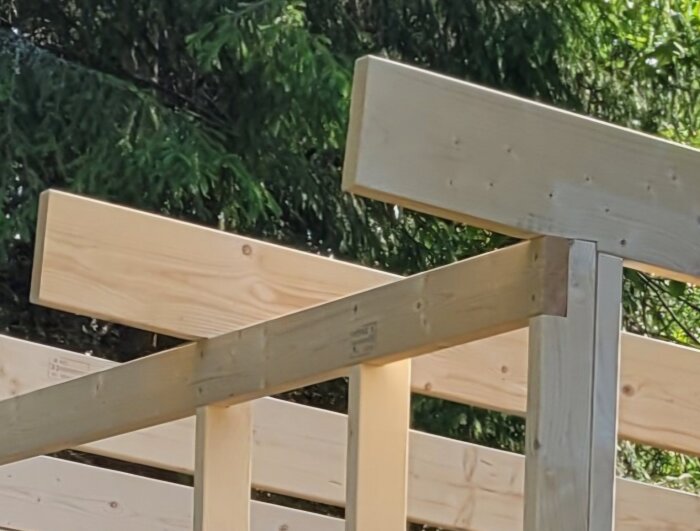 Träram för mindre byggnad med takstolar mot en bakgrund av träd.