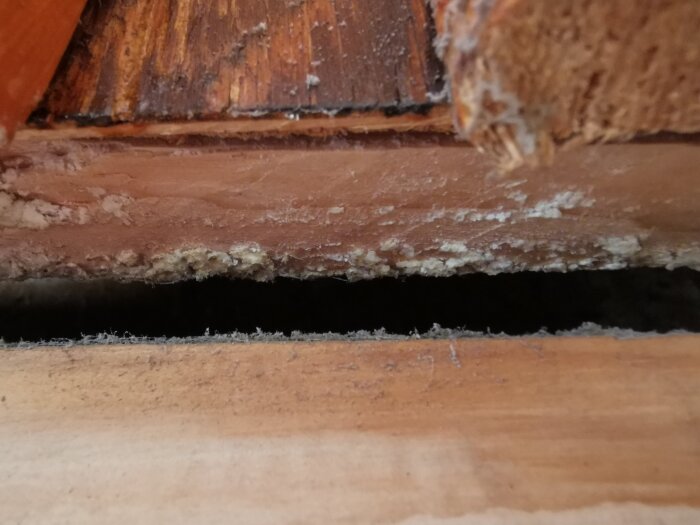 Närbild av trä och en öppning med vitt material som kan vara vitmögel eller mineraler, synligt där dörrfoder har tagits bort.