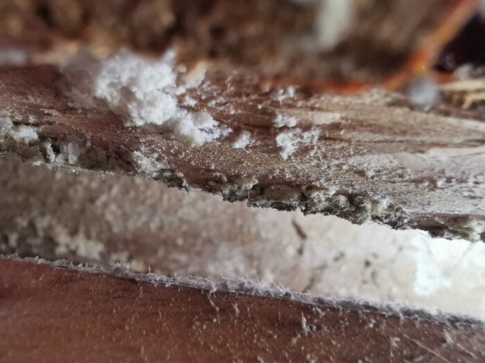 Vitt, oregelbundet lager på träyta, eventuellt vitmögel eller mineraler, synligt efter borttagning av dörrfoder i 80-talsbyggnad.