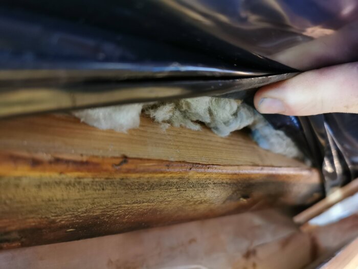 Närbild på en träregel och isolering i ett tak, där en hand drar undan plast för inspektion av fukt och mögel i ett renoveringsprojekt.