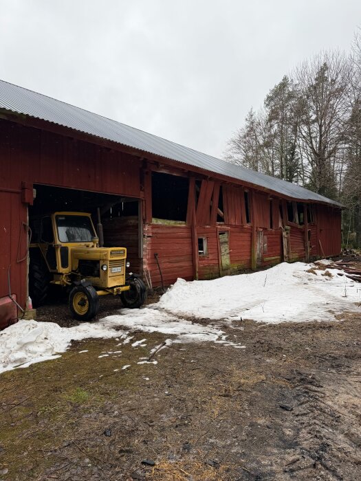Röd, delvis förfallen lada med gul traktor, omgiven av snö och grus.