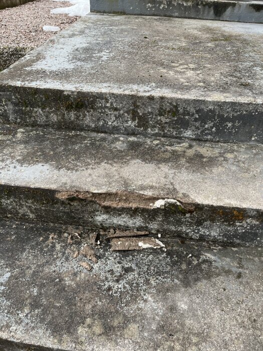 Betongtrappa med skador och flagning där bitar har börjat lossna, troligen påverkad av vinterns väder.