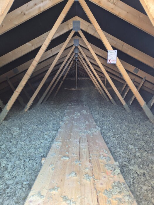 Vind med snedtak, träbjälkar och isolering. Gångbräda av trä leder genom vindsutrymmet där ägaren planerar renovering till sovloft.