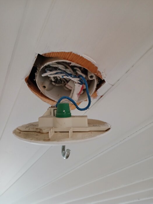 Elektrisk takanslutning med blå och vit sladd i taket, samt ett uttag med krok hängande löst.