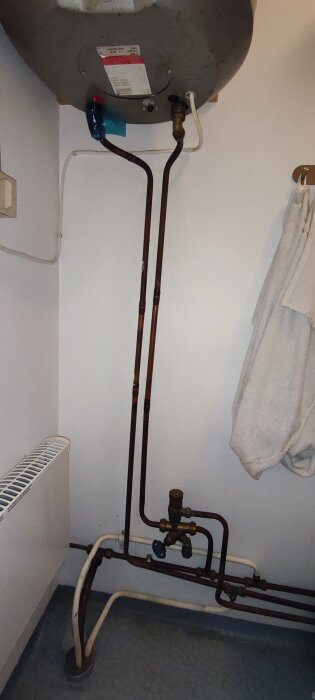 IMG_20260303_201346.jpg