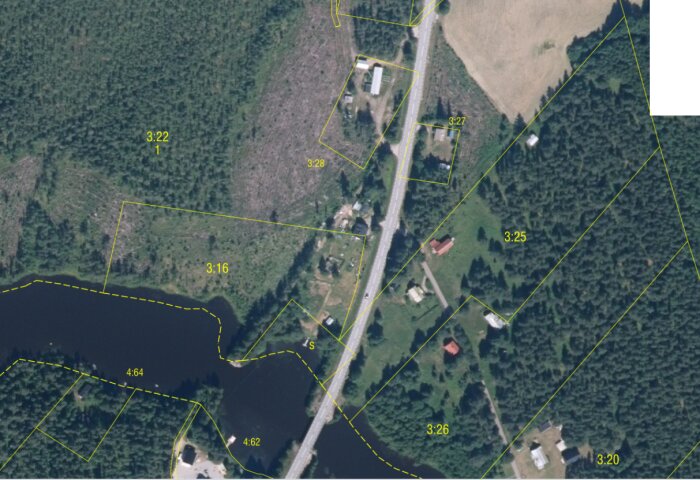 Satellitbild som visar en landsväg, omgivande skog och några hus vid en sjö.