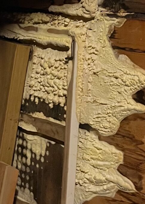 Vitt och beige hårt material på en yttervägg, möjligen svamp eller fuktrelaterad skada, synligt i trappa till vind i ett hus med tidigare takläckage.