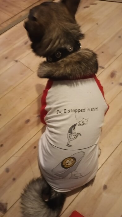 Hund i vit tröja med röd ärm, serieruta med texten "Ew, I stepped in shit!" på ryggens mitt, sitter på trägolv.