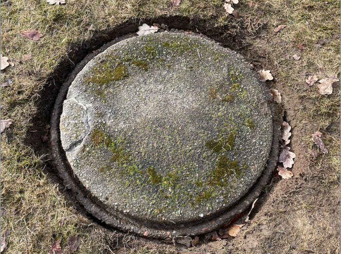 Betonglock på avloppsbrunn med lite mossa och skador, omgiven av gräs och löv.