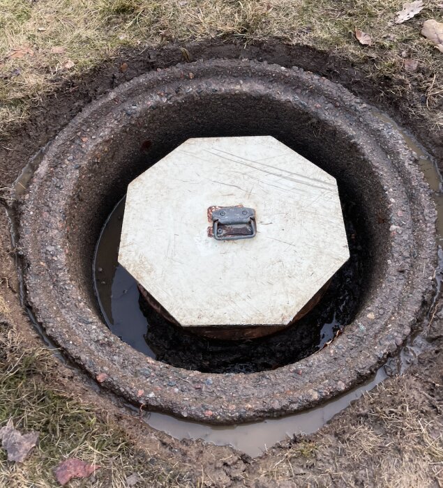Betongkrage och betonglock på avloppsbrunn med vatten runtom, delvis i en gräsmatta. Lockets handtag syns tydligt.