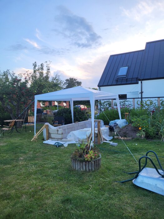 Vitt partytält över ett byggområde för växthus på gräsmatta, omgiven av ett hus och trädgård, med träd och möbler i bakgrunden.