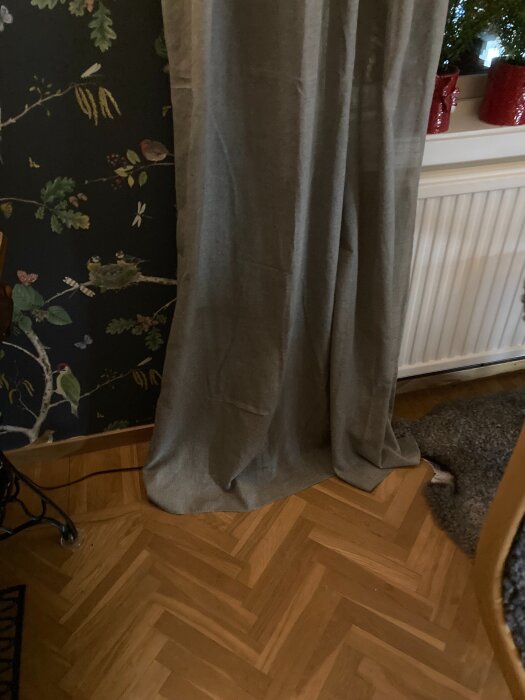 Gardiner som döljer transformatorn vid en vägg med fågeltapet och trägolv.