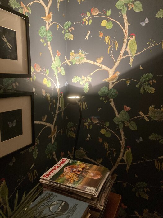 Läslampa i mörkt hörn med fågeltapet som bakgrund, bredvid staplade tidningar och tavlor på väggen.
