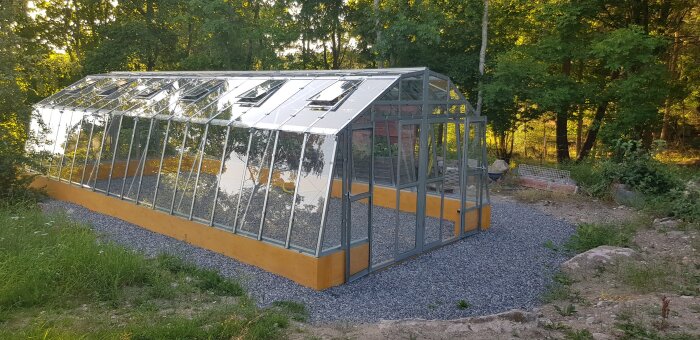 Växthus byggt 2021 med glaspaneler och limträbalkar målade med linoljefärg, placerat på packat grus med naturskog i bakgrunden.