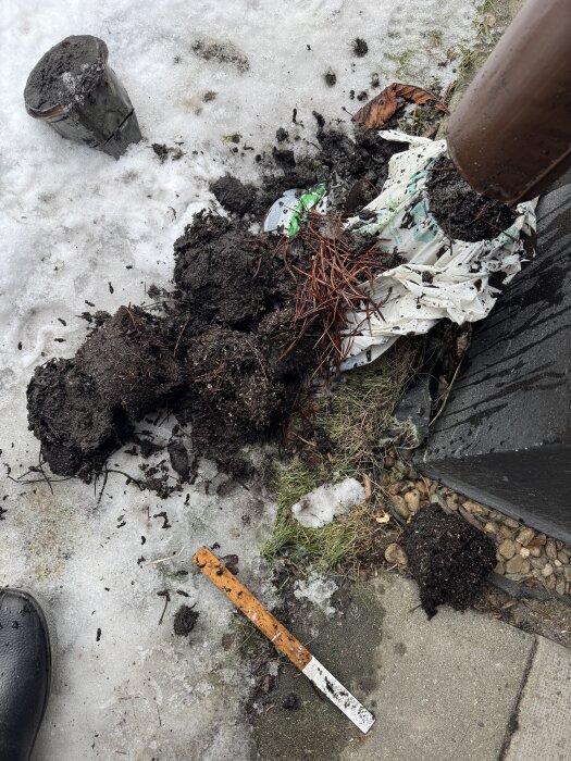 Trasigt blomkruka spritt jord och rötter på snöigt, isigt underlag nära stuprör och mätskala.