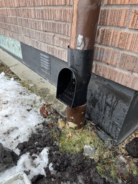 Nedre del av ett stuprör med lövfångare vid en tegelvägg, omgiven av smältande snö och jord.
