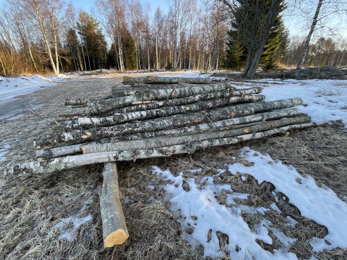 En hög med avverkade trädstammar på en snötäckt mark vid skogskanten, under arbete med att rensa mellan åker och sjö.