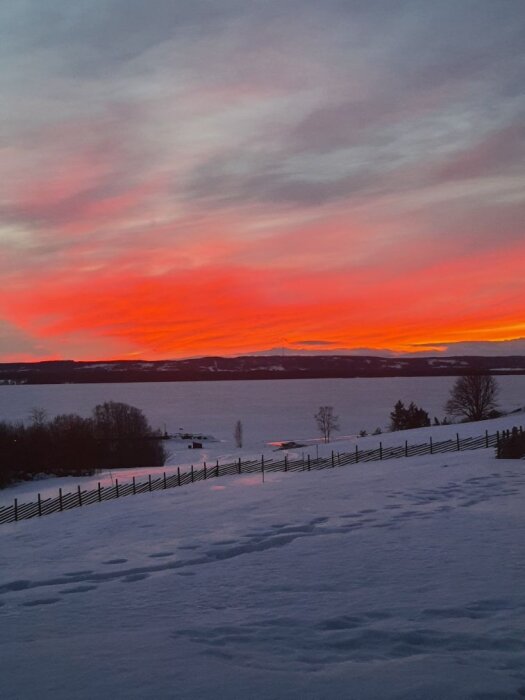 Solnedgång över en snötäckt landskap med ett staket, sjö och träd, himlen är färgad i orange och rosa nyanser.