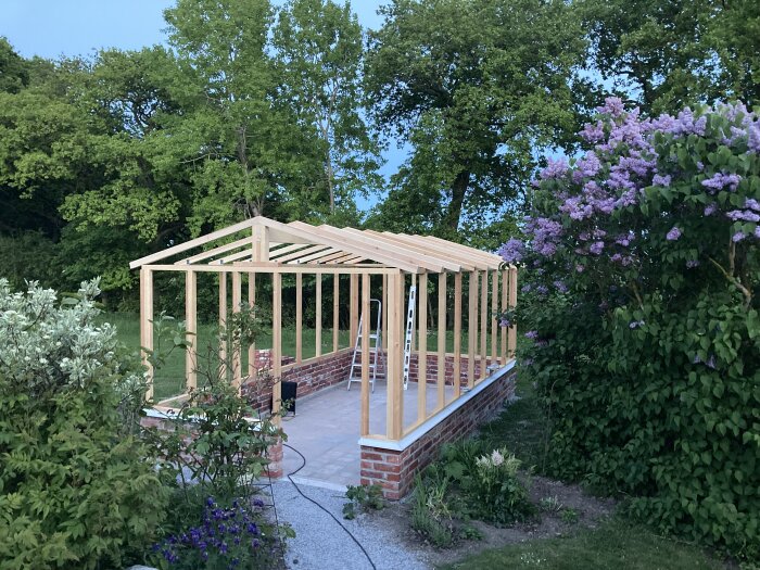 Trästomme för växthus under konstruktion, omgiven av träd och blommor, med synlig tegelmur och stege intill.