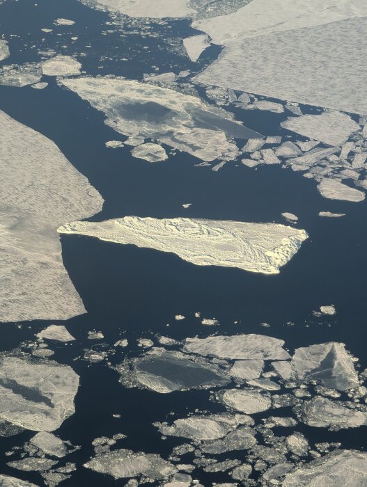 Flygfoto av isberg och isflak som flyter i ett mörkblått hav, med snötäckta ytor och varierande storlek på isformationerna.