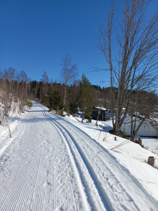 Snöklädd skidspårväg i ett vinterlandskap med blå himmel och träd i bakgrunden.