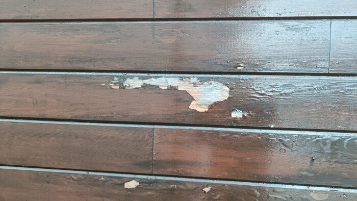 Skadad fasad i cederträ med flagande lasyr och sprickor på träpanelens yta.