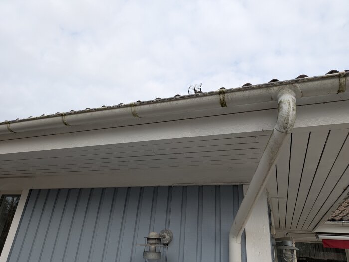 Vit hängränna och stuprör på blått hus under mulet himmel, färgflagor syns på hängrännan, ingen rost.