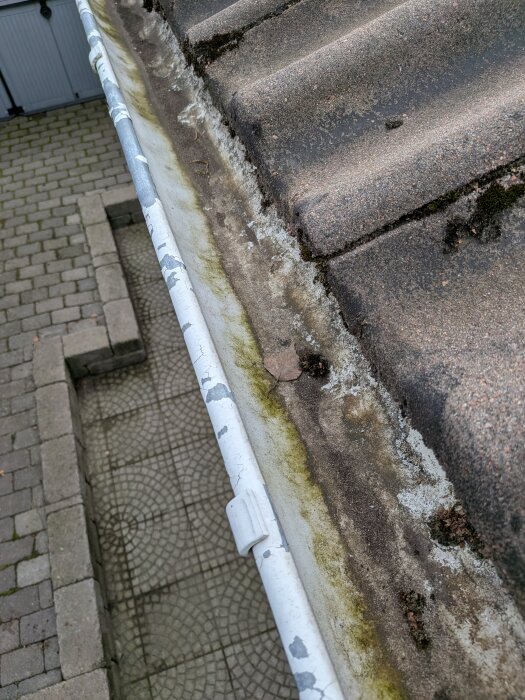 Avflagnad färg på hängränna vid ett valmat tak, med synlig mossväxt på takpannorna.