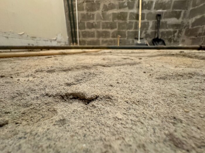 Ojämn betongplatta med små hål, omgiven av putsade väggar och byggutrustning, sett i en källarenunder renovering.