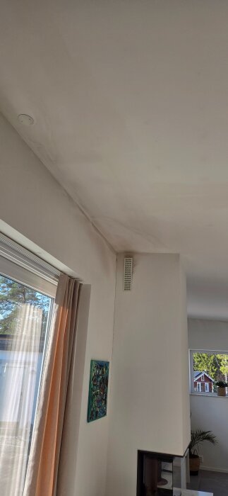Vattenskada i hörnet av ett innertak nära ett fönster, där fläckar syns på taket och väggen.