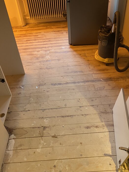 Gammalt furugolv med synliga spikhuvuden, fernissabehandling och färgfläckar i en lägenhet, dammsugare i högra hörnet.