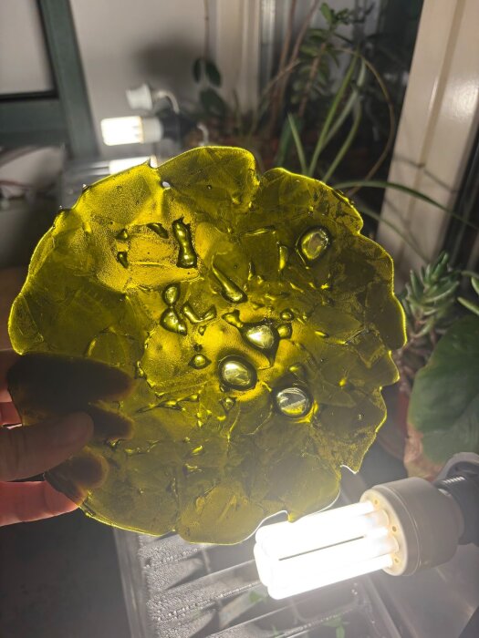 En hand håller upp en ojämn grönbrun glasdisc mot en ljuskälla, med synliga luftbubblor och en intressant textur.