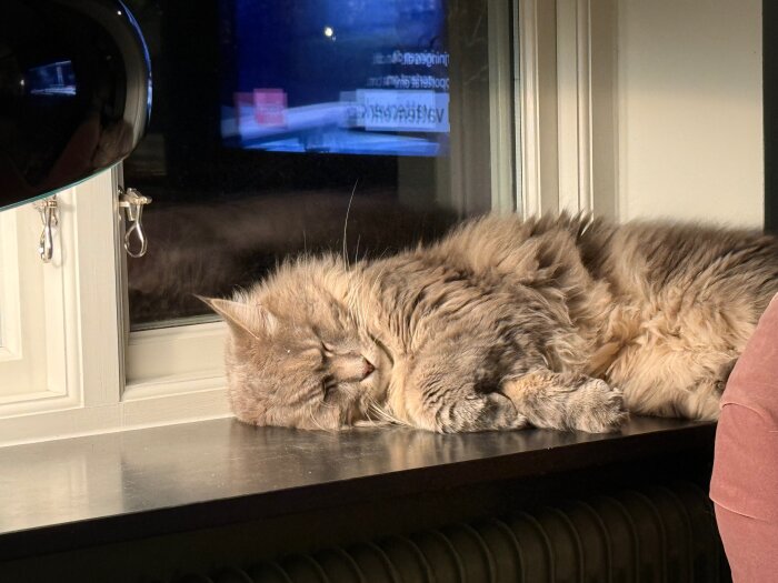 En fluffig katt sover på en fönsterbräda i solsken.