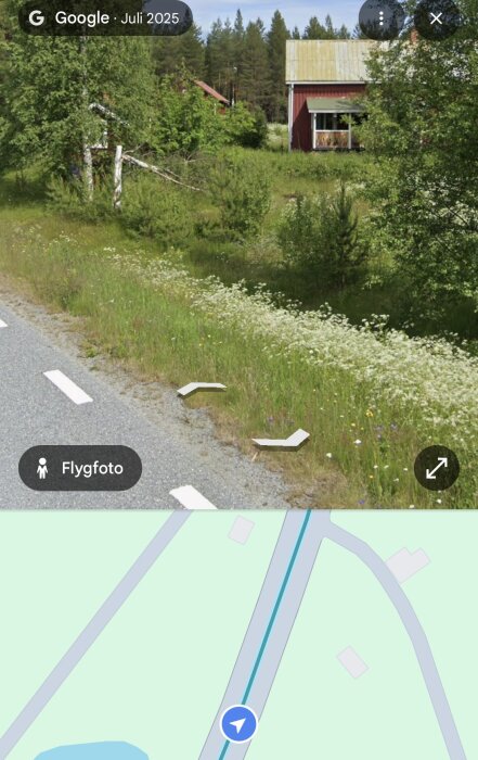 Landsväg med åkerkant och blommor, en röd stuga i bakgrunden, omgiven av tallar och gräs, en del av Åseles landskap.