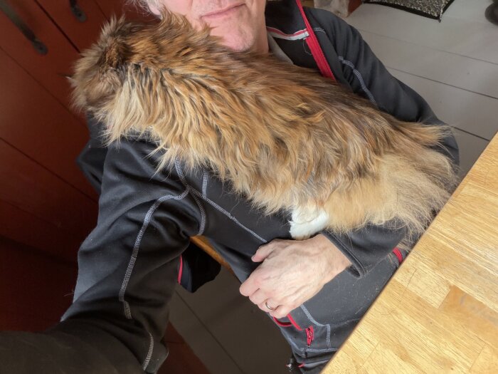 En katt ligger på en persons arm vid ett bord.