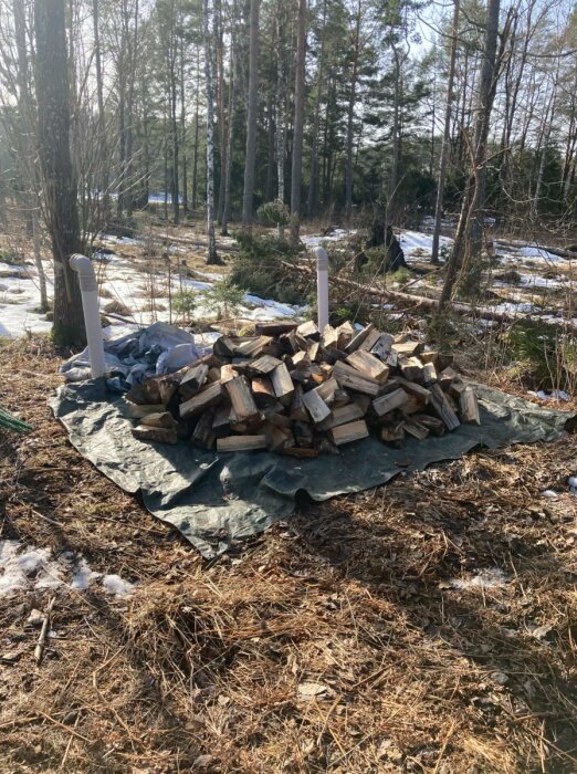 Vedhög placerad på en presenning ovanpå infiltrationsbädd med luftningsrör i bakgrunden. Skogsmiljö med snöfläckar.
