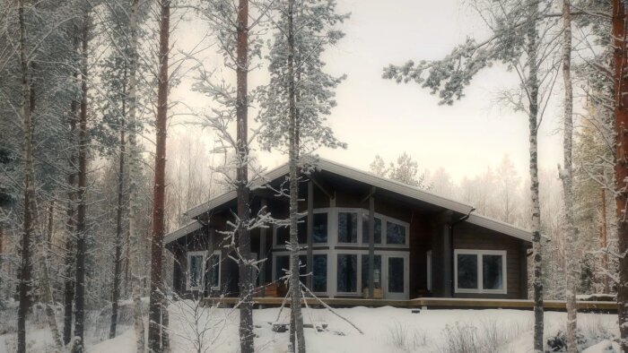 Trähus i skogen täckt av snö, med stora fönster och omgivande tallar i Vasa, Finland.