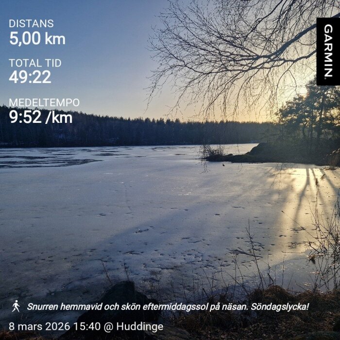 Solnedgång över frusen sjö med vinterlandskap och träd i förgrunden, fångat i eftermiddagssolen i Huddinge.