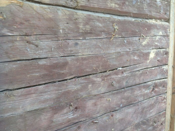 Old wooden logs forming a wall with visible gaps, discussed for possible need of windproofing with paper, battens, and paneling.